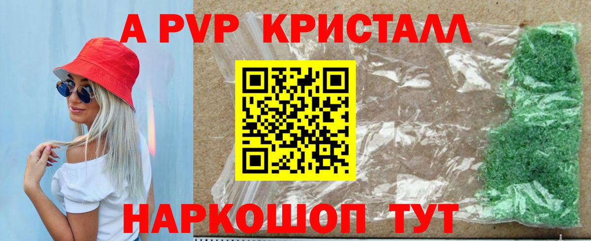 Alfa_PVP СК Краснознаменск