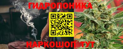 стаф Камышлов