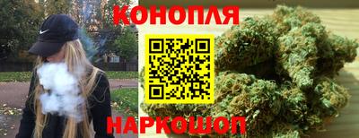 стаф Камышлов