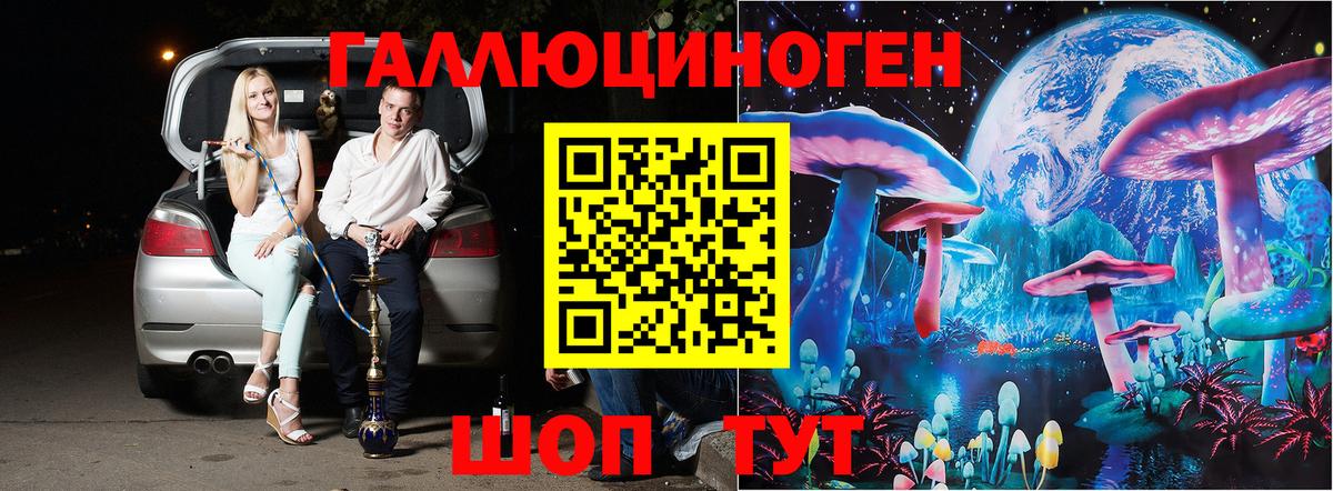 Псилоцибиновые грибы Cubensis Краснознаменск