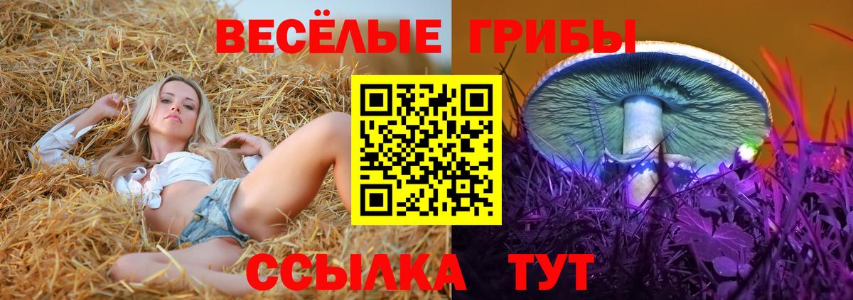 Псилоцибиновые грибы MAGIC MUSHROOMS  Галлюциногенные грибы MAGIC MUSHROOMS  Краснознаменск  Вход с VPN 